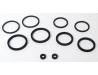 Brake caliper seal kit for One Front caliper